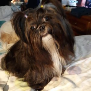 Meet your Posher, Loretta